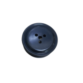 Imagem do produto POLIA DA BOMBA D’AGUA | R115250